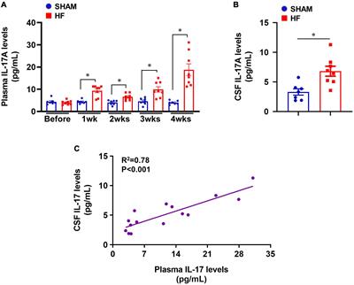 Brain Interleukin-17A contributes to neuroinflammation and cardiac dysfunction in rats with myocardial infarction